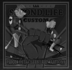 Les Tuniques Bleues - CUSTOM (Version Confédéré)